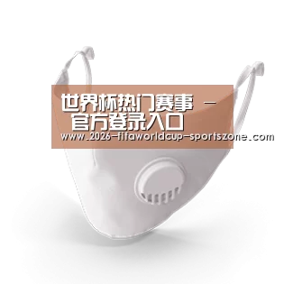 N95 口罩