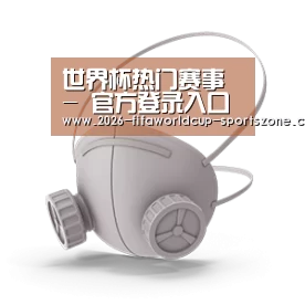 N95 口罩