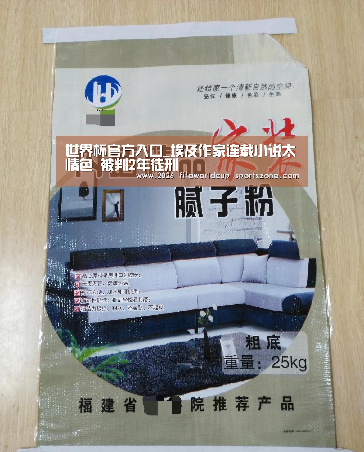  世界杯官方入口_埃及作家连载小说太情色 被判2年徒刑