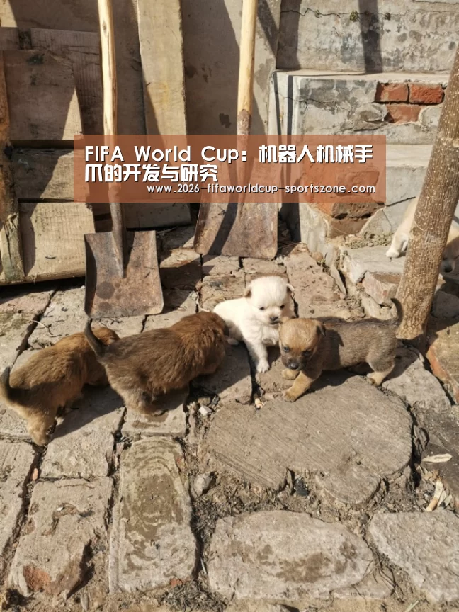 FIFA World Cup:机器人机械手爪的开发与研究(图2) 世界杯官方入口