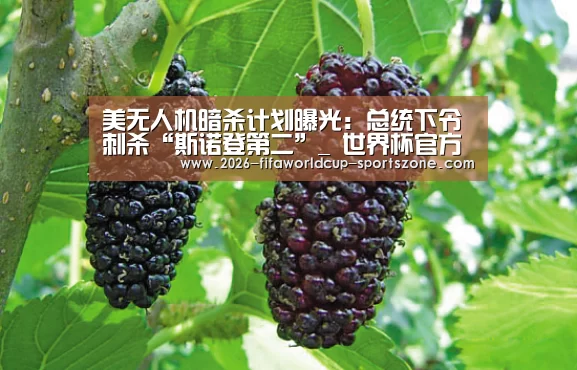  世界杯综合娱乐平台